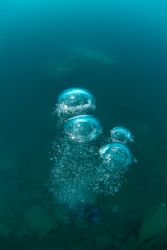 Bubbles. by Derek Haslam 